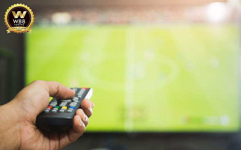 kèo nhà cái qatar hôm nay